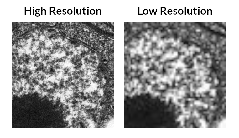Image showing the difference between high resolution and low resolution. On the left is a high resolution electron microscope image of part of a cell's nucleus. A lot of detail can be seen. On the right is the same image at a much lower resolution. It is much blurrier and much less detail can be seen. The images are labelled "High Resolution" and "Low Resolution".
